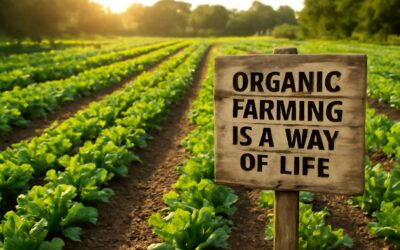 From soil to supper: organic farming quotes to inspire every gardener.