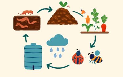 Discover organic farming diagram simple: a vibrant, beginner-friendly guide